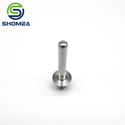 SHOMEA Custom 304/316 aço inoxidável sonda de temperatura com fio masculino